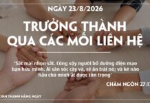 TRƯỞNG THÀNH QUA CÁC MỐI LIÊN HỆ-23/8/26
