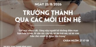 TRƯỞNG THÀNH QUA CÁC MỐI LIÊN HỆ-23/8/26