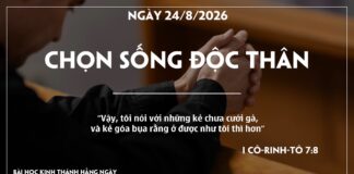 CHỌN SỐNG ĐỘC THÂN-24/8/26