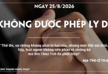 KHÔNG ĐƯỢC PHÉP LY DỊ-25/8/26