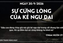 SỰ CỨNG LÒNG CỦA KẺ NGU DẠI-20/9/26