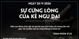 SỰ CỨNG LÒNG CỦA KẺ NGU DẠI-20/9/26
