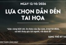 LỰA CHỌN DẪN ĐẾN TAI HỌA-12/10/26