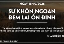 SỰ KHÔN NGOAN ĐEM LẠI ỔN ĐỊNH-18/10/26