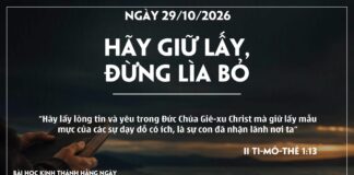 HÃY GIỮ LẤY, ĐỪNG LÌA BỎ-29/10/26